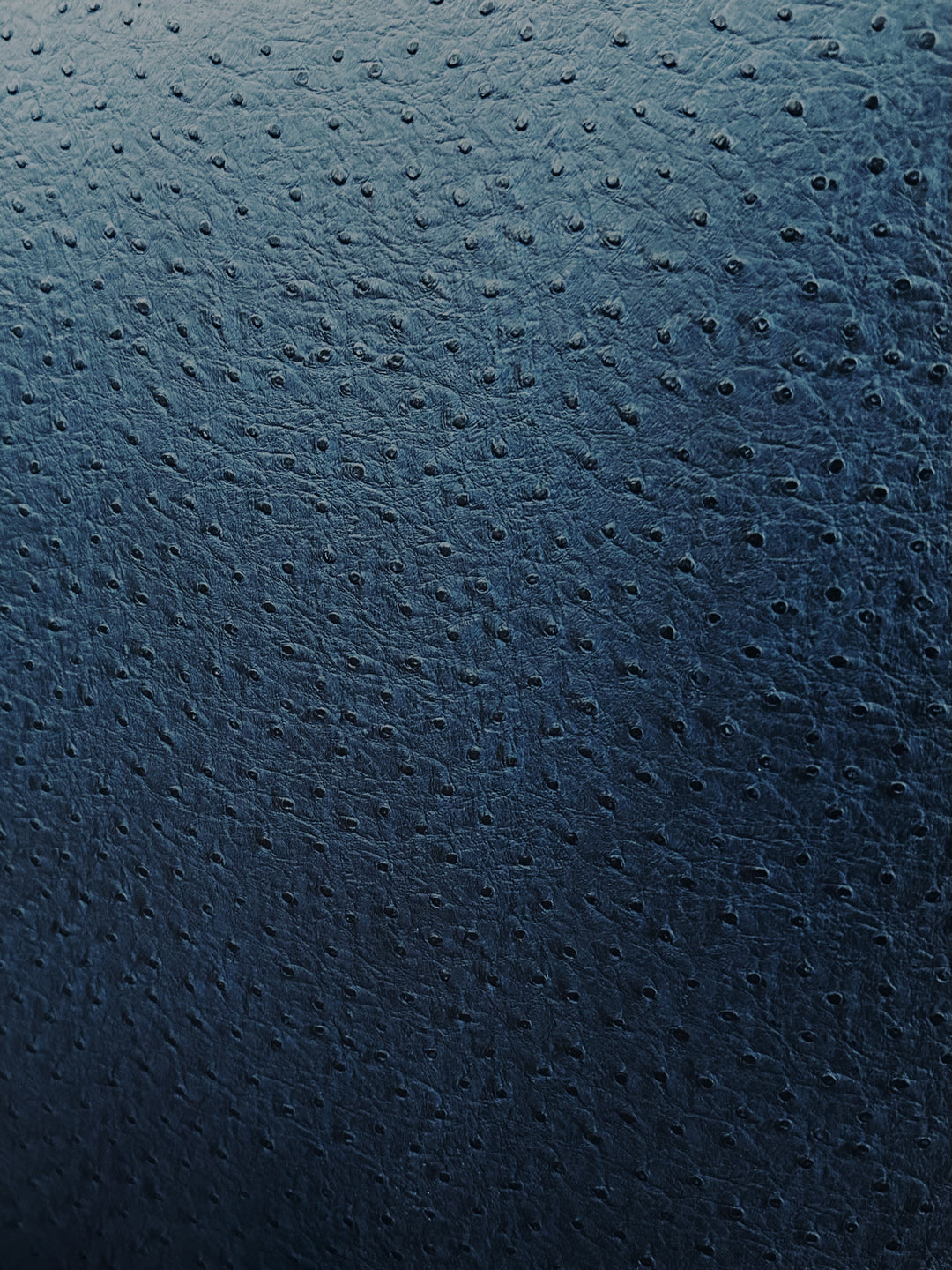 Fabric Swatch - Emu Blue