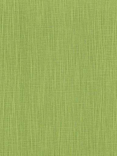 Fabric Swatch - Lime Twist