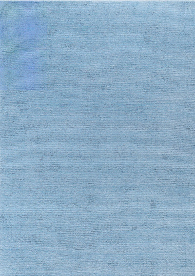 Washable Blue Rug