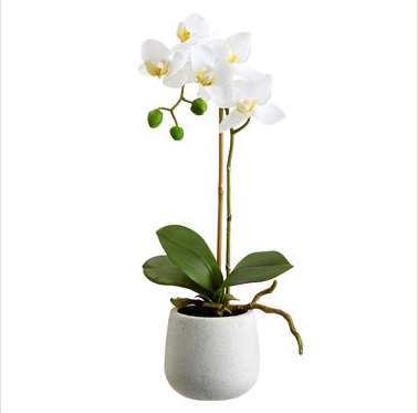 Faux Potted White Orchid 15"